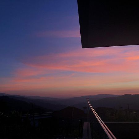 Hotel Vald'Aregos - Douro Resende Esterno foto
