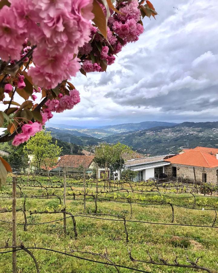 Hotel Vald'Aregos - Douro Resende Esterno foto