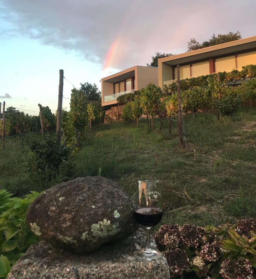 Hotel Vald'Aregos - Douro Resende Esterno foto