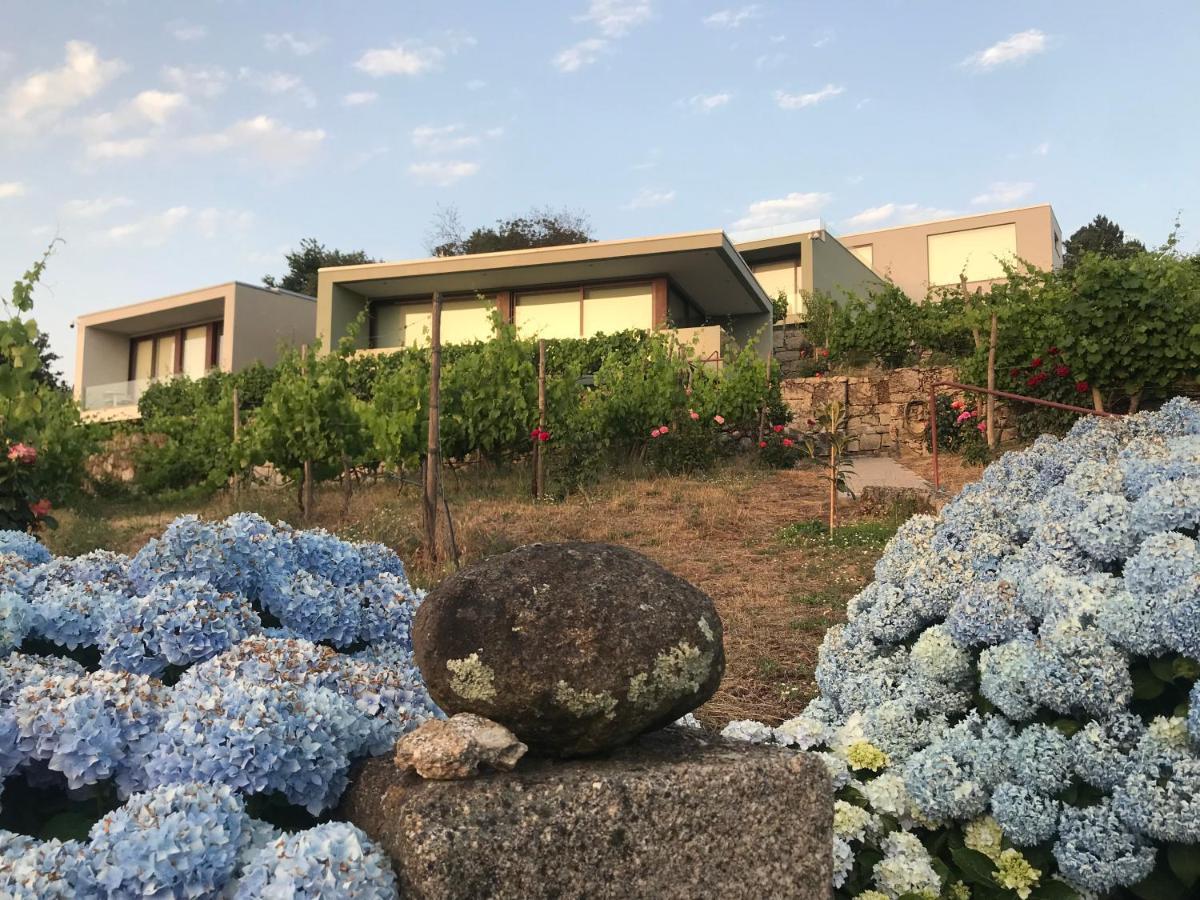 Hotel Vald'Aregos - Douro Resende Esterno foto