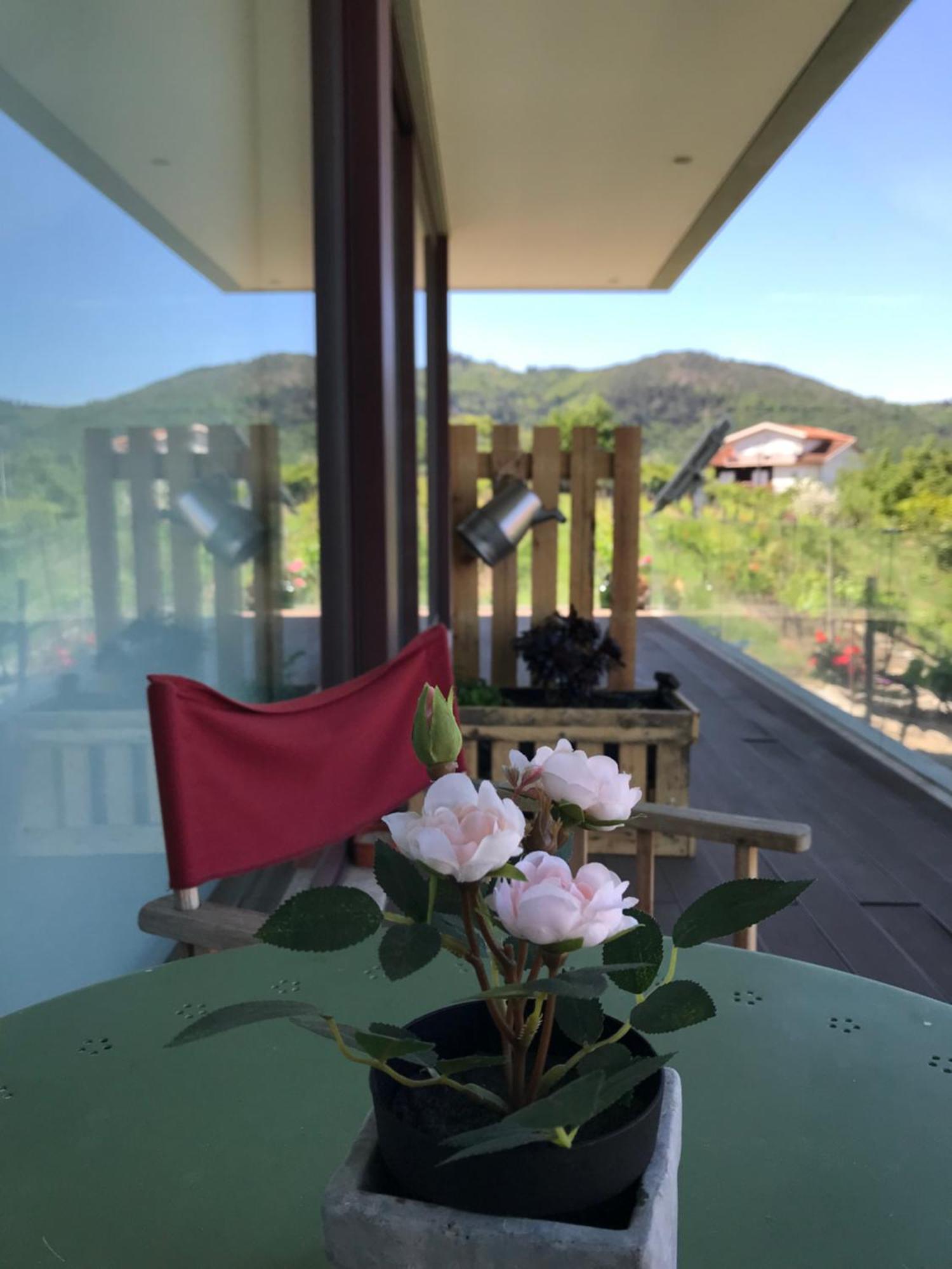 Hotel Vald'Aregos - Douro Resende Esterno foto