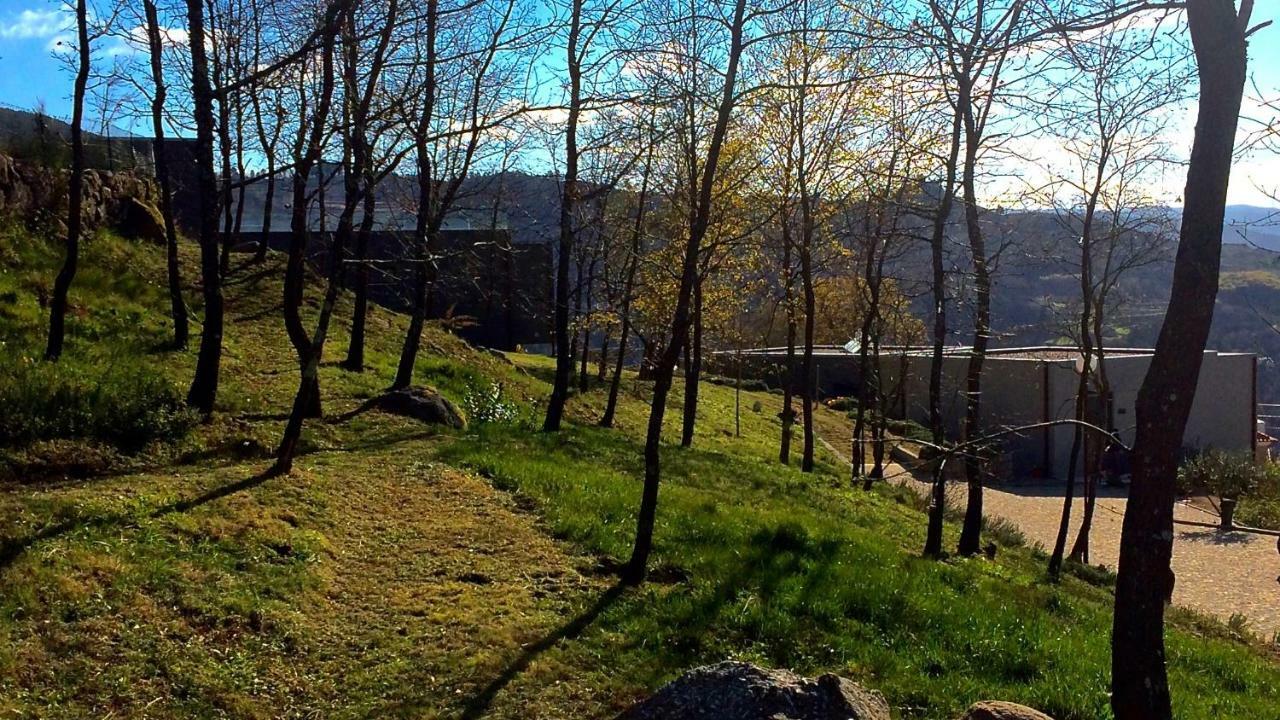 Hotel Vald'Aregos - Douro Resende Esterno foto
